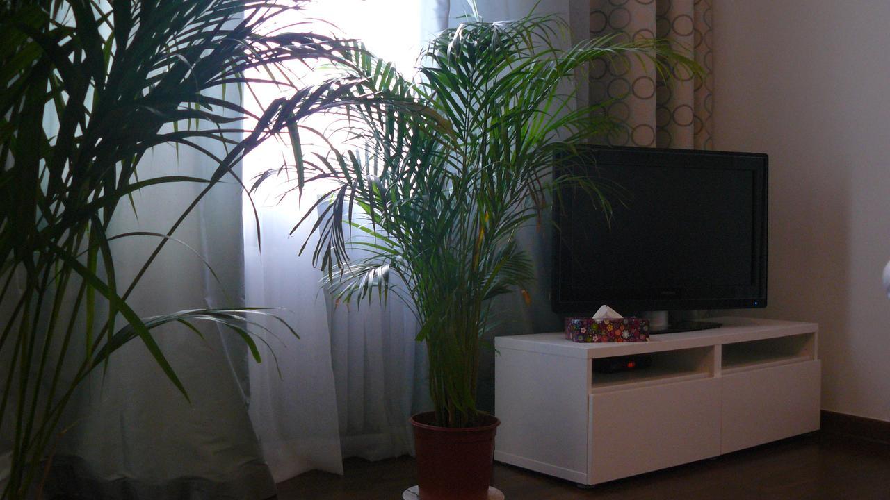 Apartament Chmielna Apartment วอร์ซอ ภายนอก รูปภาพ